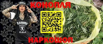прущие крисы Будённовск
