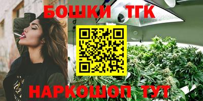прущие крисы Будённовск