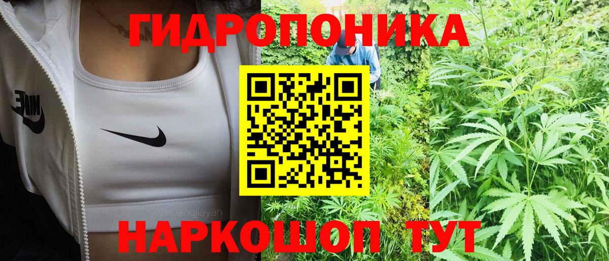 Конопля OG Kush  МАРИХУАНА марихуана  Вход с VPN  Кулебаки 